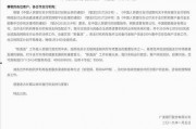 国产系列第一页,匠心独运，引领潮流的本土创新风采